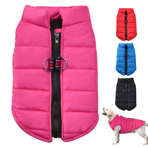 Winter dog jacket - dog,