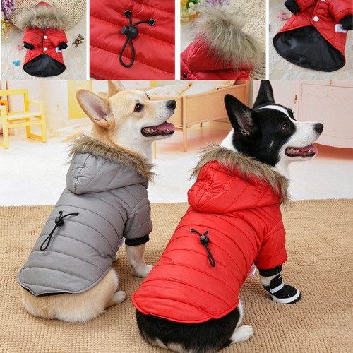 Warm padded jacket dog - warm,