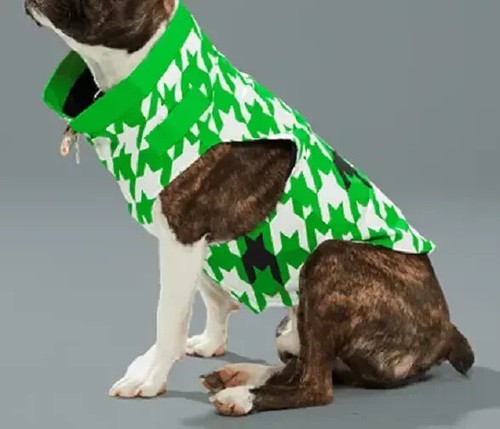 New christian sirano dog - new,