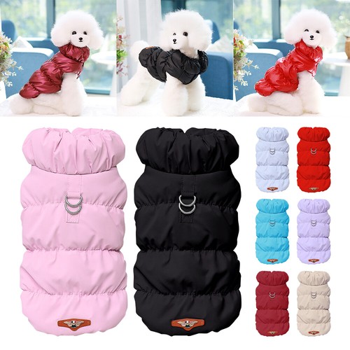 Winter warm dog - warm,