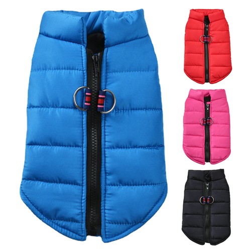 Pet dog vest - pet,
