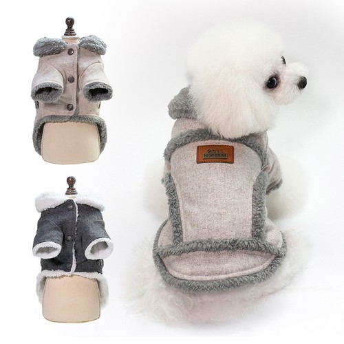 Small dog winter - small,