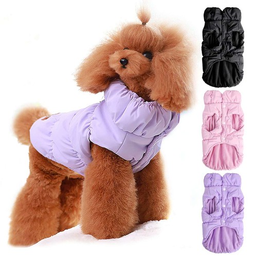 Pet dog coat - dog, jacket