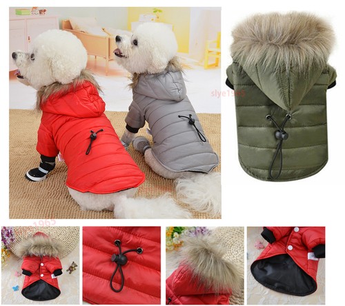 Warm padded jacket - padded,