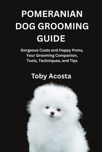Pomeranian dog grooming - dog,