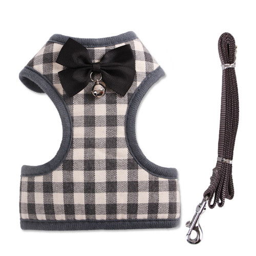 Small size dog - small,