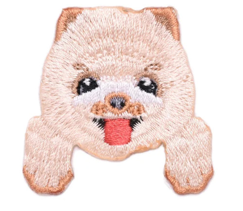 Pomeranian puppy dog - puppy,
