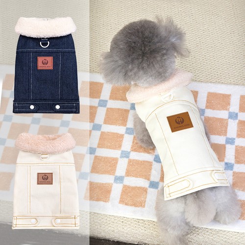 Winter dog - winter,