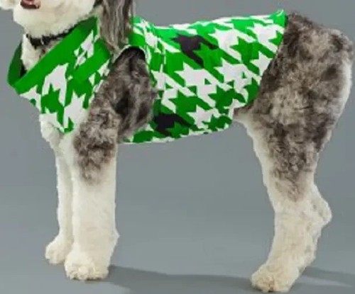 New christian sirano dog - sirano, coat