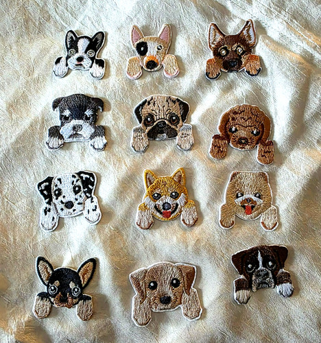 Adorable puppy dogs - adorable,