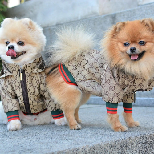 Cute stylish pet hoodie - hoodie, zipper