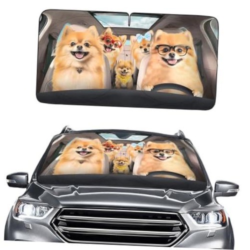 Pomeranian dogs windshield sun - pomeranian,