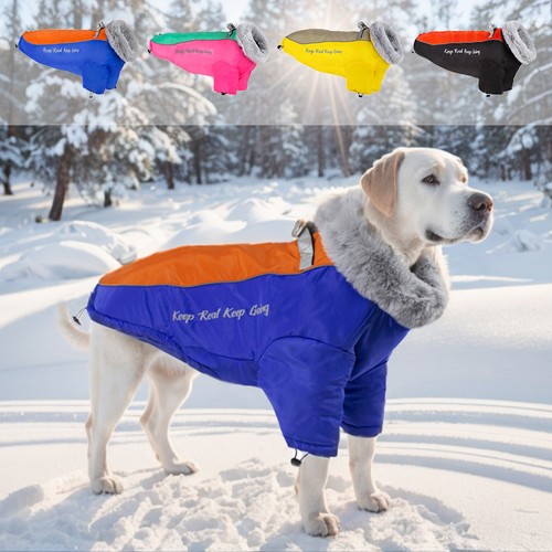 Winter dog coat - winter, waterproof