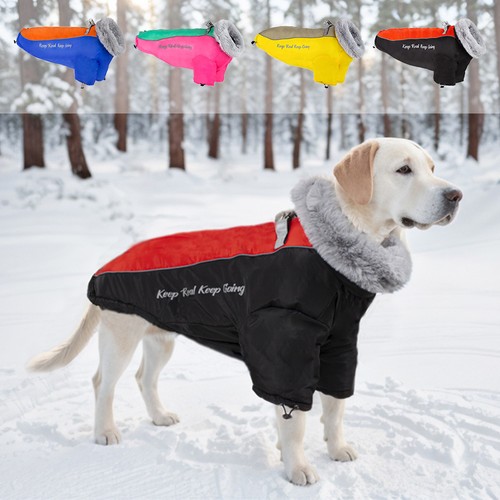 Warm dog coat reflective - warm,